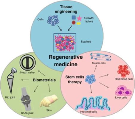  Gelatin的生物相容性與其在再生醫學中的應用潛力！