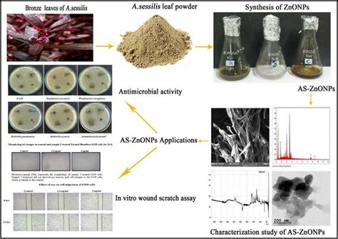  氧化鋅納米粒子：高效率催化劑與優異的生物相容性材料！